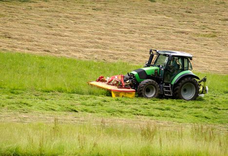 Bei uns wird noch echte Landwirtschaft betrieben