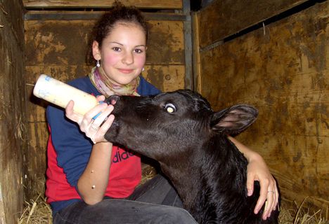 Tiere füttern