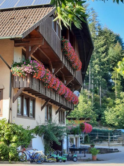 Der Hinterschlauchbauernhof in Gutach