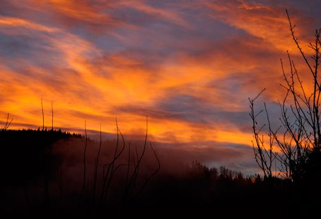 Atemberaubender Sonnenuntergang mit Schwarzwald-Kulisse